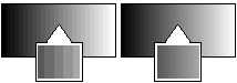 Image of comparison of grayscale display