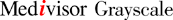 Medivisor Grayscale logo